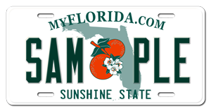 license plate lookup florida