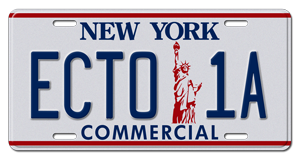 ecto 1a license plate