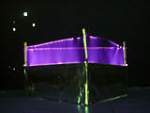 The IonCraft