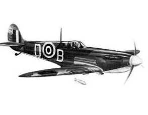 spitfire picture 13