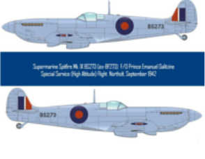 spitfire picture 16