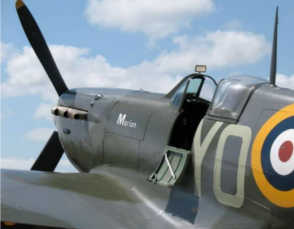 spitfire picture 19