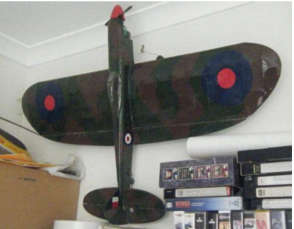 spitfire picture 2