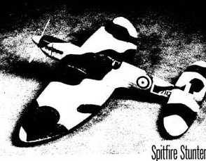 spitfire picture 9
